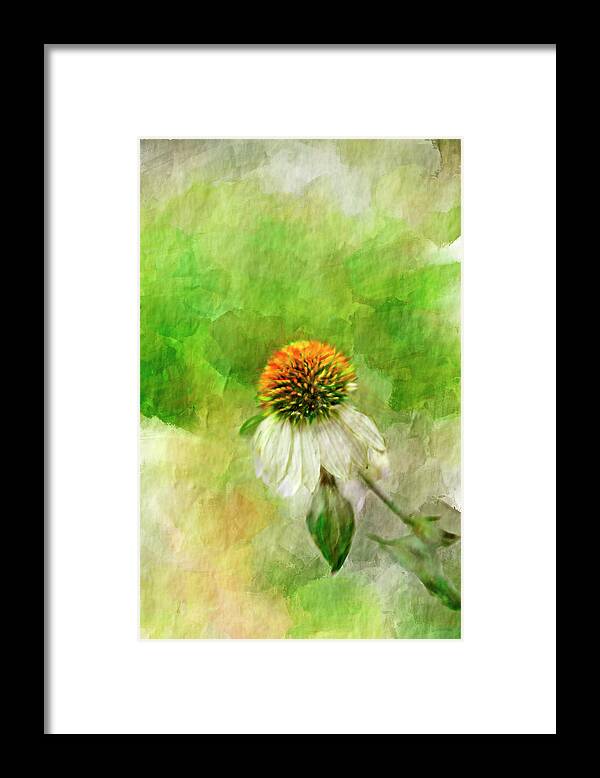 White Cone Flower Framed Print featuring the mixed media End of Summer by Mary Timman