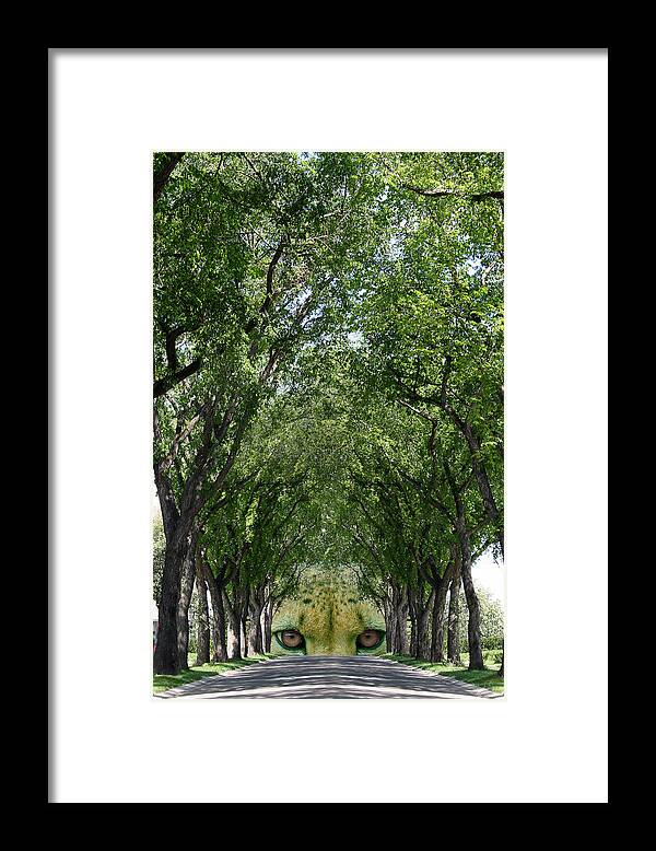 Treed Street Framed Print featuring the photograph End of the Road by Stan Kwong
