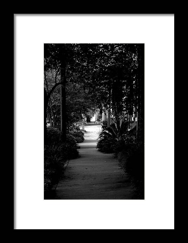 Tree Framed Print featuring the photograph Endless by David Weeks