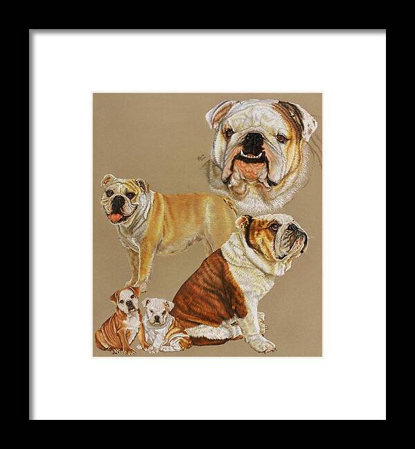 Purebred Framed Print featuring the drawing English Bulldog Collage by Barbara Keith