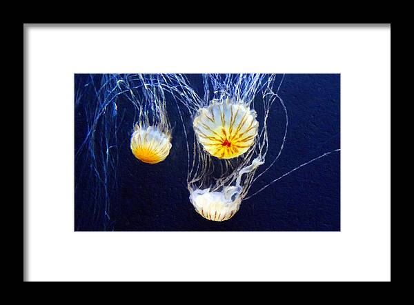 Enigma Jellyfish Art Framed Print featuring the painting Enigma by Georgiana Romanovna