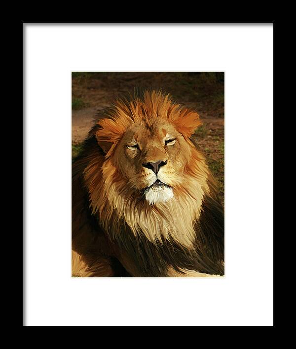 Lion Framed Print featuring the photograph Enjoying the Day by Laurel Powell