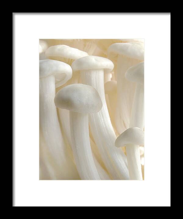 Macro Framed Print featuring the photograph Enoki Forest by John Poon
