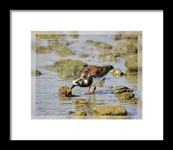 Bible Framed Print featuring the photograph Ephesians 2 8-9 by Dawn Currie