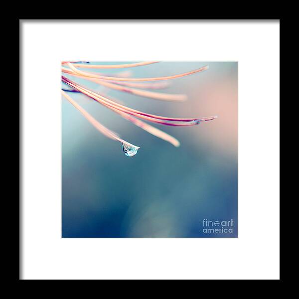 square Format Framed Print featuring the photograph Epi-nette - 09-s12a by Variance Collections