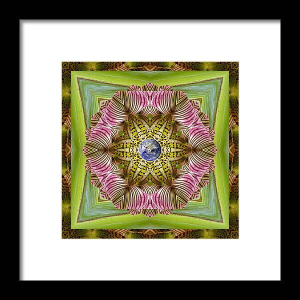Mandalas Framed Print featuring the photograph EpiCenter by Bell And Todd