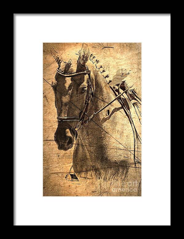 Horse Framed Print featuring the photograph Equestrian by Clare Bevan