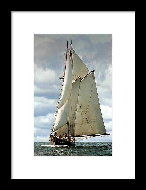 Windjammer Framed Print featuring the photograph Ernestina by Fred LeBlanc