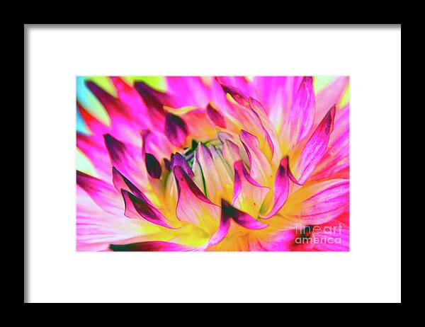 Backgrounds Framed Print featuring the photograph Eruption by Brian O'Kelly