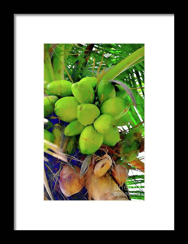 Arecaceae Framed Print featuring the photograph Escape I by Alison Belsan Horton