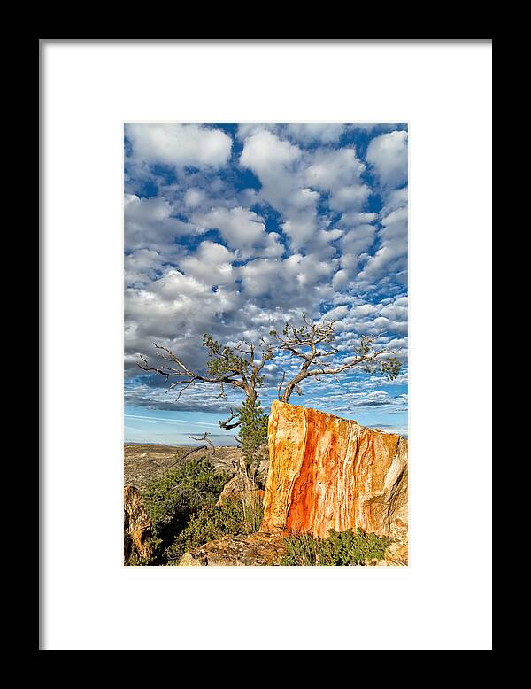Castle Gardens Framed Print featuring the photograph Escarpment in the Badlands by Kathleen Bishop