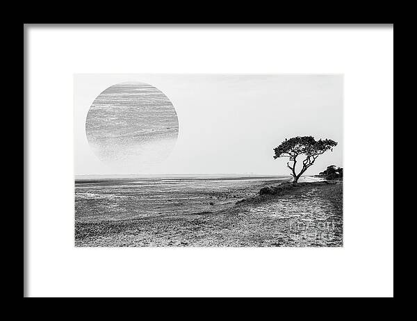 Seascape Framed Print featuring the photograph Estuary by Roger Lighterness