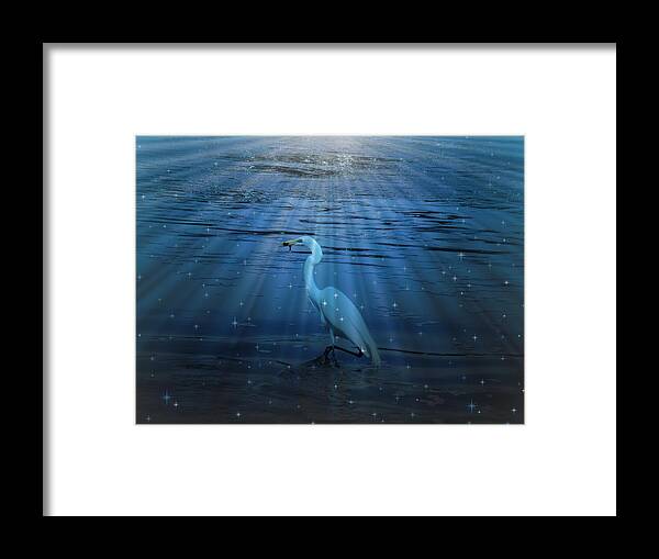 Pelican Framed Print featuring the photograph Eternity by Deborah Kunesh