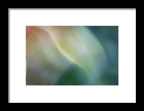 Flowers Framed Print featuring the photograph Ethereal by Margaret Denny