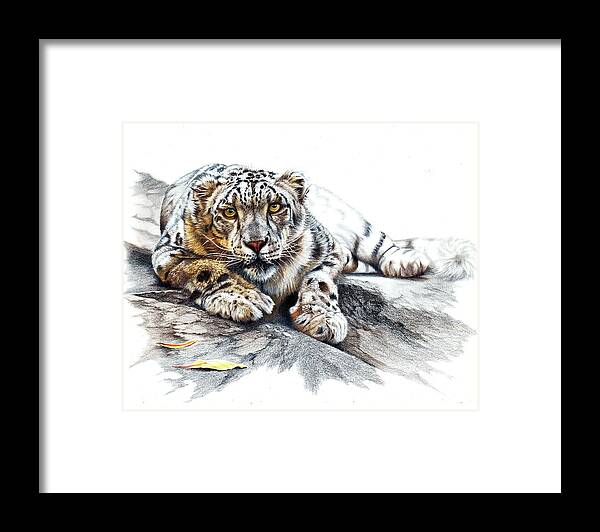 Snow Leopard Framed Print featuring the drawing Ethereal Spirit by Peter Williams