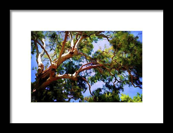 Trees Framed Print featuring the digital art Eucalypt by Margaret Hormann Bfa