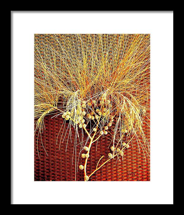 Eucalyptus Framed Print featuring the photograph Eucalyptus Red by VIVA Anderson