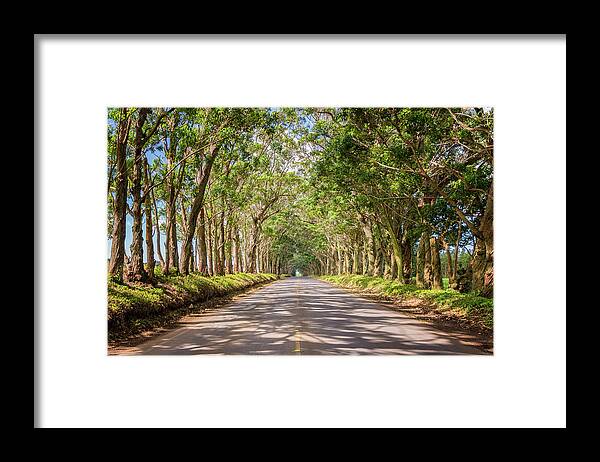 Tree Tunnel Kauai Hawaii Framed Print featuring the photograph Eucalyptus Tree Tunnel - Kauai Hawaii by Brian Harig