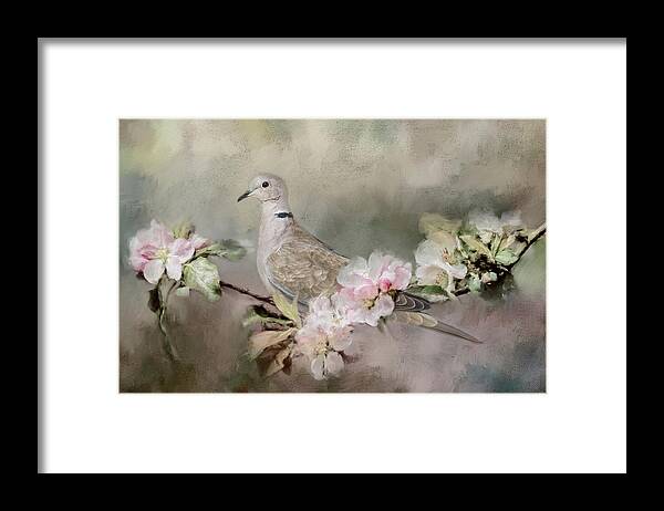 Jai Johnson Framed Print featuring the photograph Eurasian Dove In The Garden by Jai Johnson