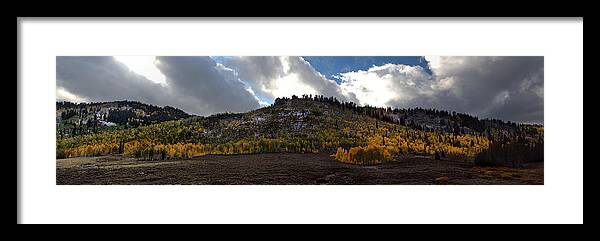Aspens Framed Print featuring the photograph Evanescent by David Andersen
