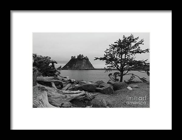 La Push Framed Print featuring the photograph Evening At La Push Beach by Christiane Schulze Art And Photography