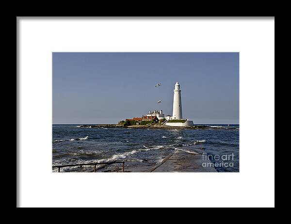 Lighthouse Framed Print featuring the photograph Evening at St. Mary's Lighthouse by Elena Perelman
