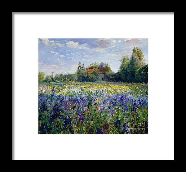 Landscape;market Gardening; Flowers; Horticulture;cottage; Summer; Rural; Irises; Landscapes Framed Print featuring the painting Evening at the Iris Field by Timothy Easton