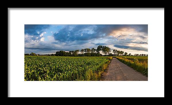 Agricultural Framed Print featuring the photograph Evening in a Cornfield by Dmytro Korol