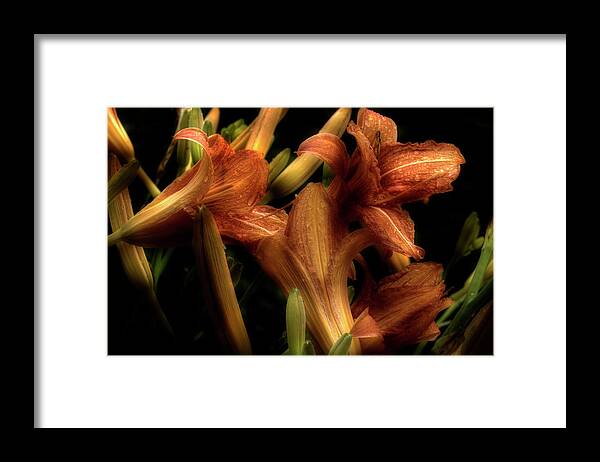 Lilies Framed Print featuring the photograph Evening Lilies by Mike Eingle