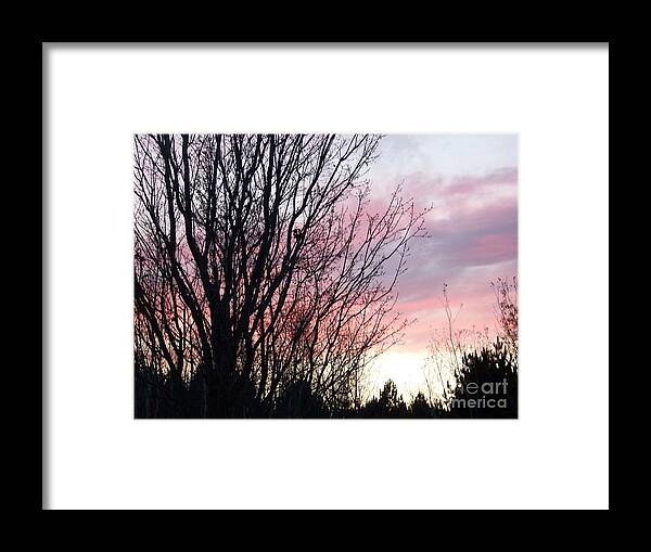 Sky Framed Print featuring the photograph Evening Sky - October 27 by Jackie Mueller-Jones