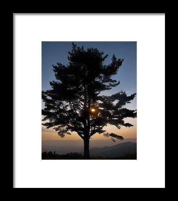 Sun Framed Print featuring the photograph Evening Sun by Carl Moore