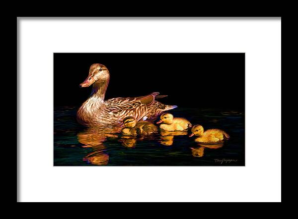 Duck Framed Print featuring the digital art Evening swim by Thanh Thuy Nguyen