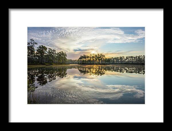 Everglades Framed Print featuring the photograph Everglades Ovation by Jon Glaser