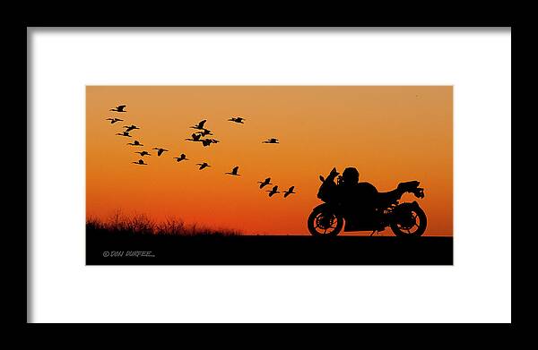 Sunset Framed Print featuring the photograph Everglades Sunset by Don Durfee