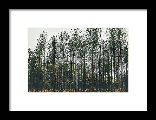 Moody Framed Print featuring the photograph Evergreen by Andrea Anderegg