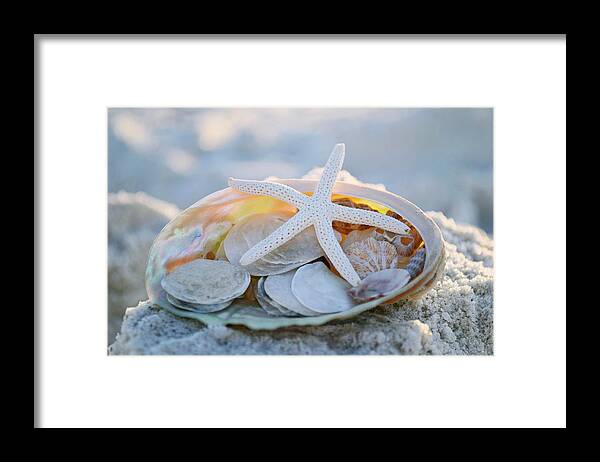 Seashells Framed Print featuring the photograph Every Grain of Sand by Melanie Moraga