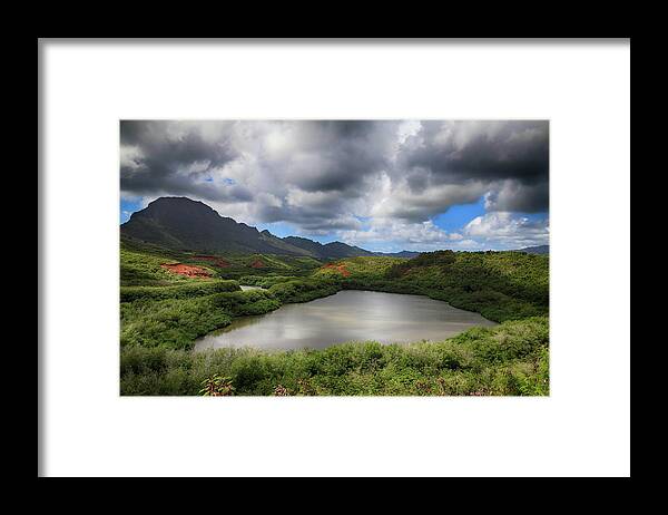 Menehune Fish Pond Framed Print featuring the photograph Everything by Laurie Search