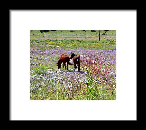 Everything Nice Framed Print featuring the photograph Everything nice by Kume Bryant