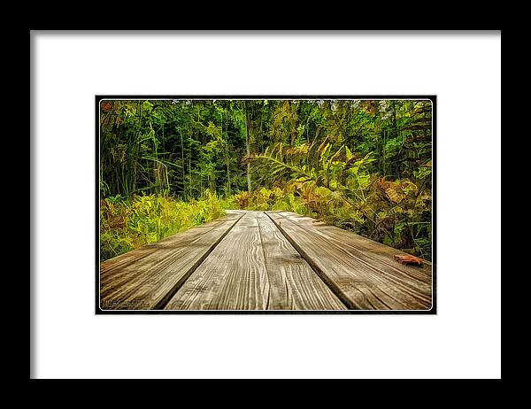 Miller Framed Print featuring the photograph Explore Miller Pond Boardwalk by LeeAnn McLaneGoetz McLaneGoetzStudioLLCcom