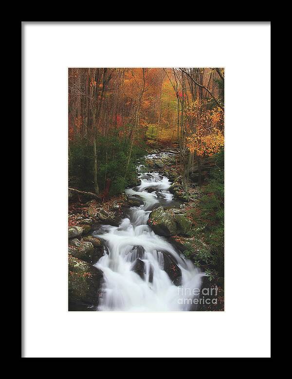 Fall River Scene Framed Print featuring the photograph Exploring Autumn by Michael Eingle