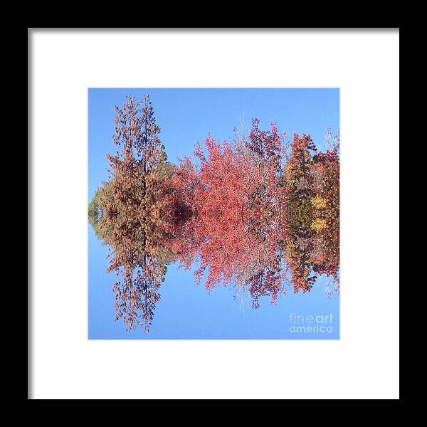 Hues Framed Print featuring the photograph Explosion of Autumn Leaves by Nora Boghossian