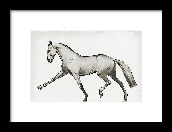Art Framed Print featuring the photograph Extended Sketch by Dressage Design