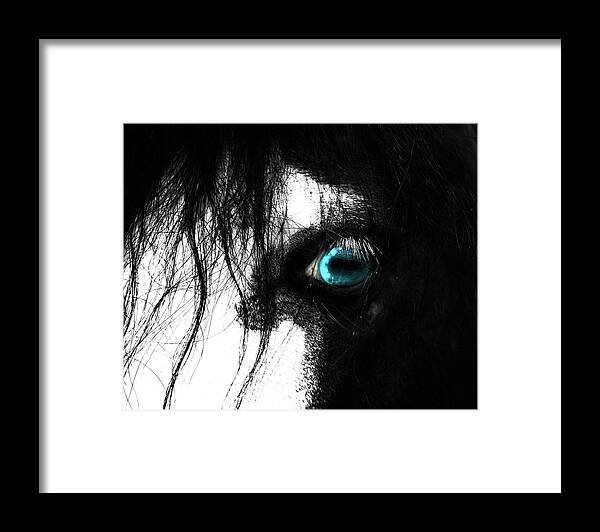 Horse Framed Print featuring the photograph Eye of the Horse by Gray Artus