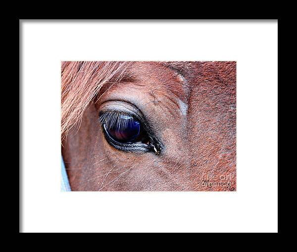 Fauna Framed Print featuring the photograph Eye See You by Mariarosa Rockefeller