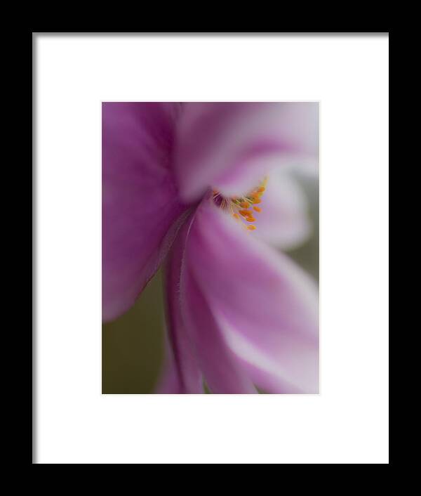  Anemone Framed Print featuring the photograph Eyelashes by Diane Fifield