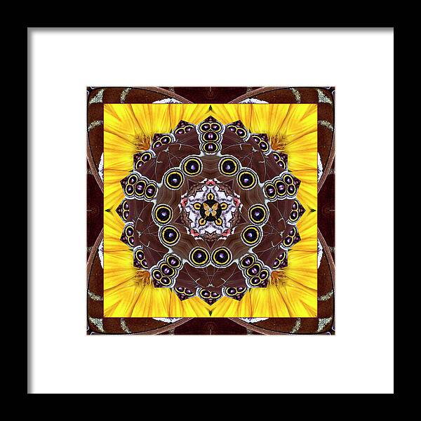 Yoga Art Framed Print featuring the photograph Eyes of Earth by Bell And Todd