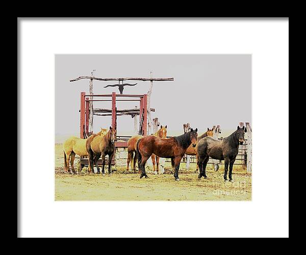 Horses Framed Print featuring the photograph Eyes on Me by Merle Grenz