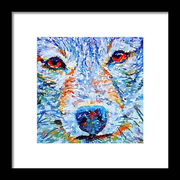 Wolf Framed Print featuring the digital art Face of a Wolf by Julius Reque