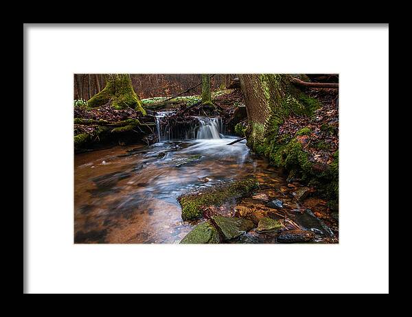 Jenny Rainbow Fine Art Photography Framed Print featuring the photograph Fairy Pond in Spring Forest by Jenny Rainbow
