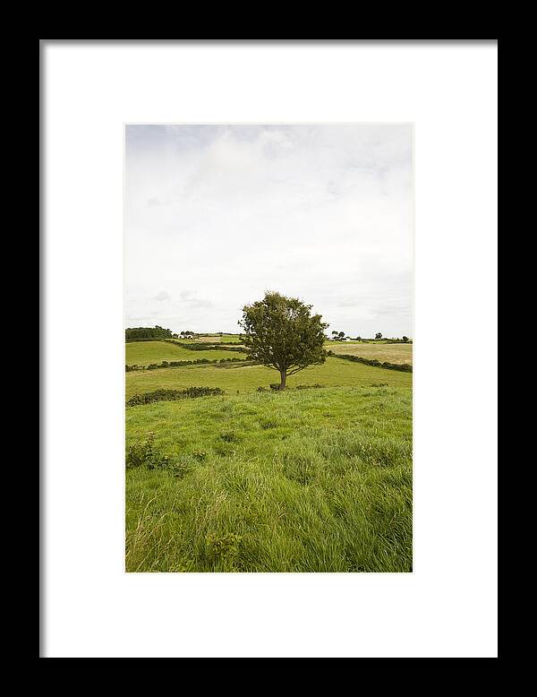 Green Framed Print featuring the photograph Fairy tree in Ireland by Ian Middleton